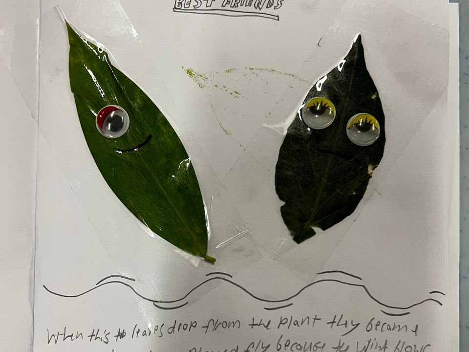 Two real leaves turned into characters with googly eyes, with a child's handwritten story below