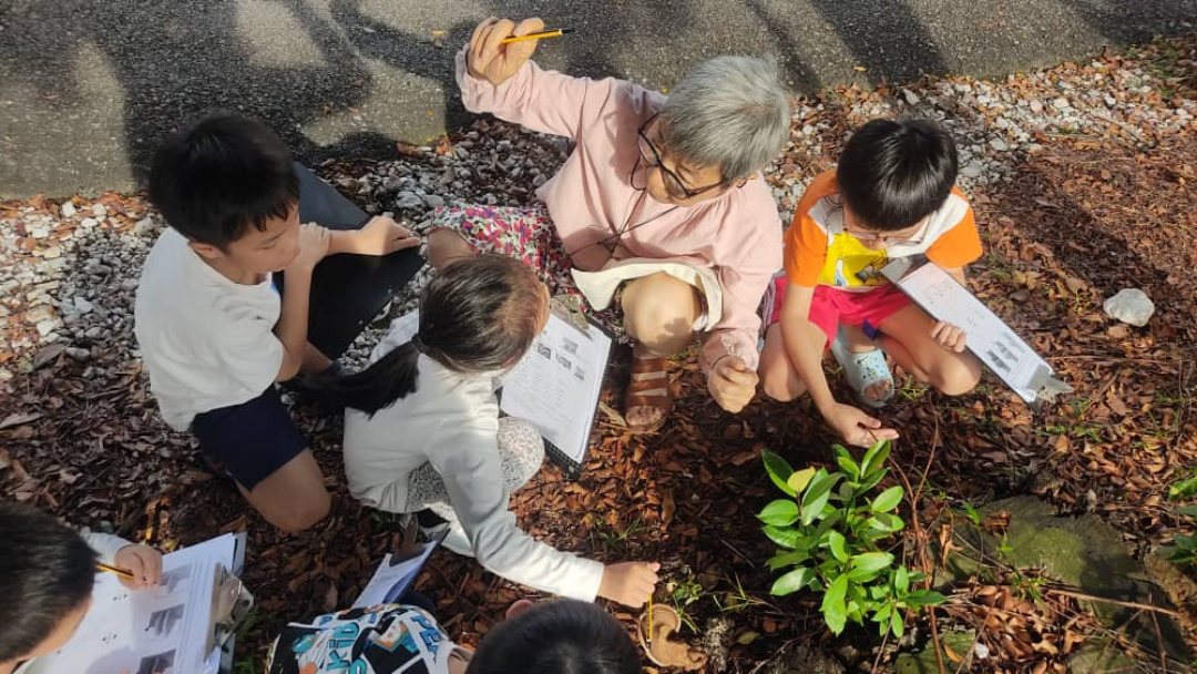 Children crouched around a plant outdoors with their treasure hunt sheets